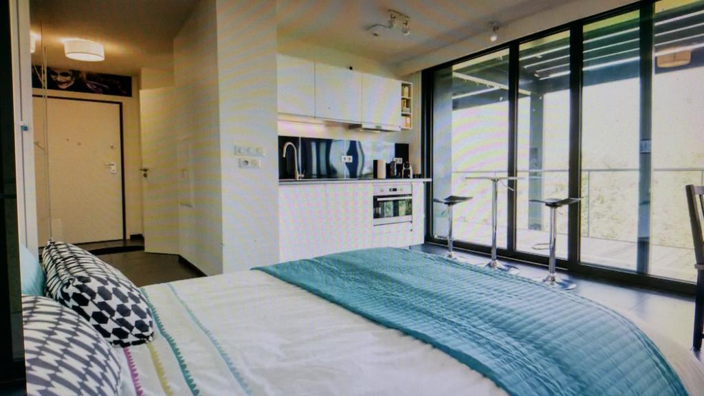 Studio Avec Terrace Docks Strasbourg Ngoại thất bức ảnh